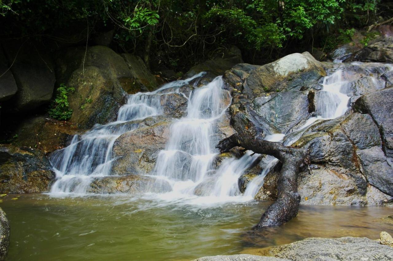 Oyo 479 Water Jade Natural Resort Thai Mueang Exteriör bild